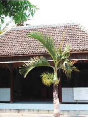 Rumah Tradisional Jawa Dusun Celeb , Srigading, Bantul